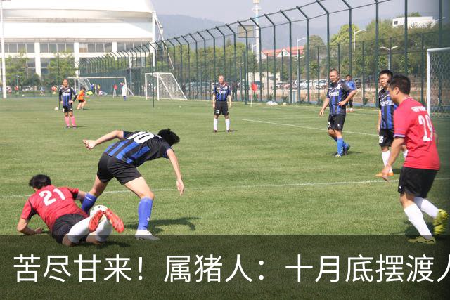 苦尽甘来！属猪人：十月底"摆渡人"悄然降临